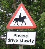 Horses - theory-online.co.uk