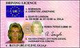 UK Driving Licence